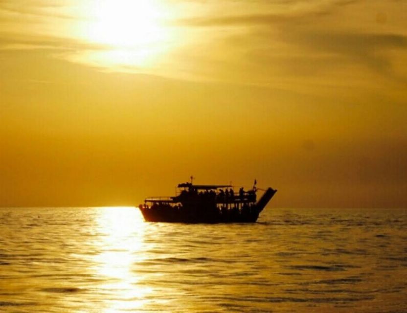 From Pore: Evening Dolphin Cruise with Welcome Drink - Spotting Dolphins in the Croatian Marine Environment