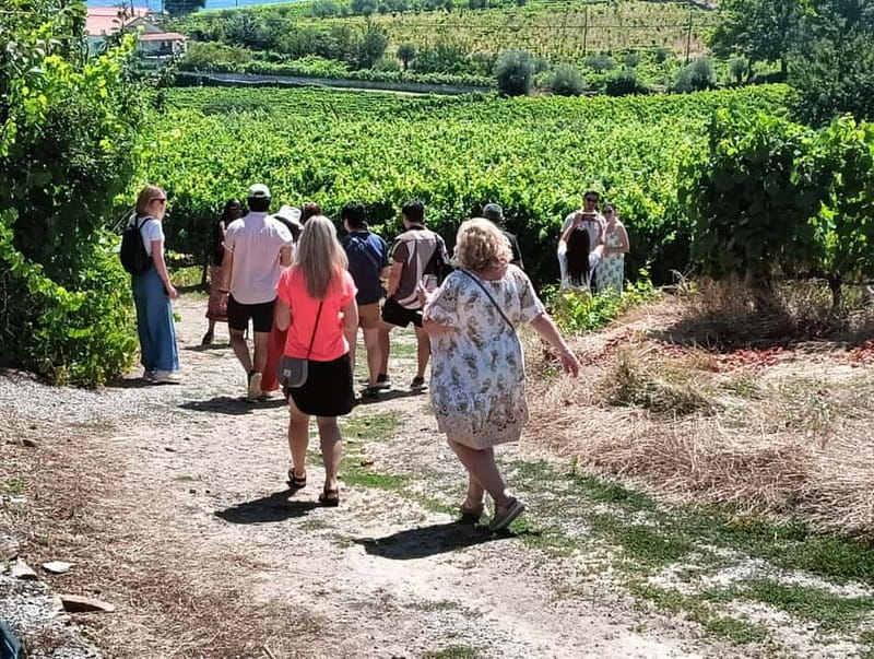 From Porto: 2 Wine Regions, Farm Lunch, and Boat Ride - From Porto to the Scenic Douro Valley in 1.5 Hours