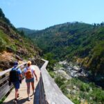 From Porto: 516 Arouca Bridge and Paiva Walkways Guided Tour - Exploring the Paiva Walkways
