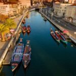From Porto: Aveiro and Coimbra Private Tour - Convenient Pickup and Private Transportation from Porto