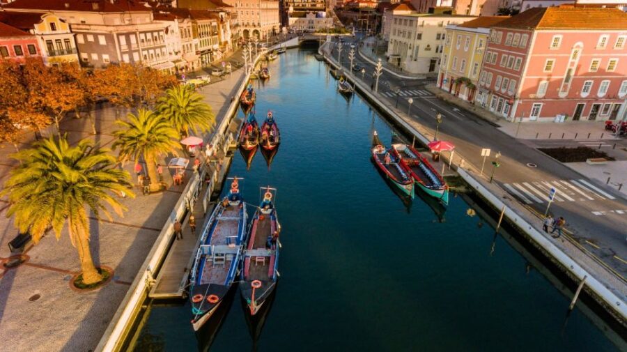 From Porto: Aveiro and Coimbra Private Tour - Convenient Pickup and Private Transportation from Porto