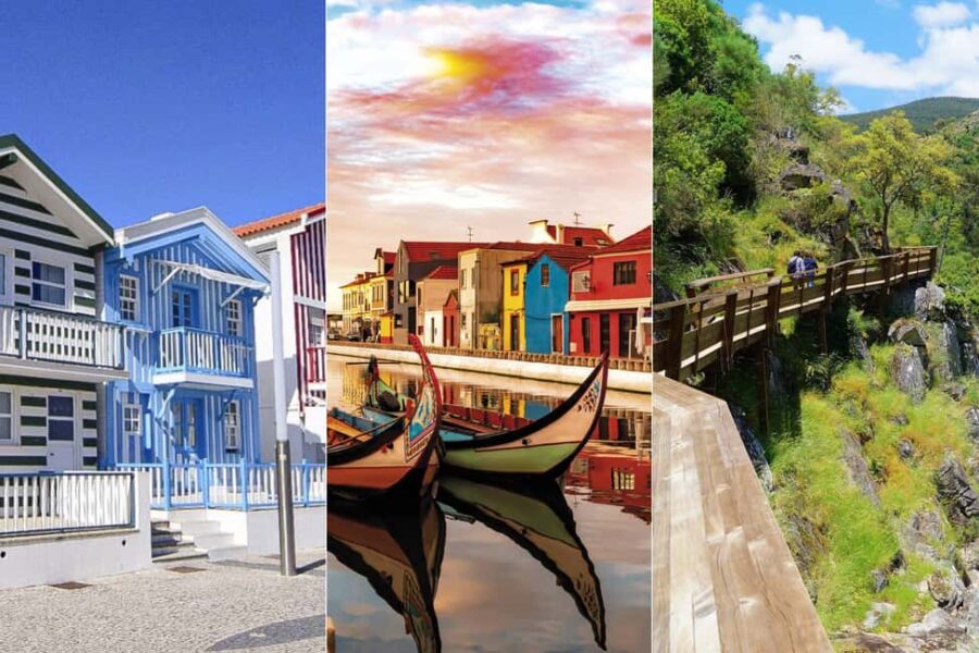 From Porto: Aveiro Boat, Paiva Suspension Bridge & Walkways - Key Points