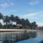 From Porto: Aveiro & Coimbra Tour with Moliceiro Boat Cruise - Discovering Aveiro’s Architectural and Cultural Gems