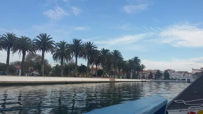 From Porto: Aveiro & Coimbra Tour with Moliceiro Boat Cruise - Discovering Aveiro’s Architectural and Cultural Gems