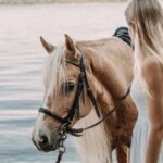 From Porto: Beach Horse Ride + Hotel Transfer - Easy Pickup and Smooth Transfers in Porto