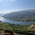 From Porto Day Douro Valley Wine Tour 2 Wine Tasting & Lunch - Starting Point and Transportation in Porto