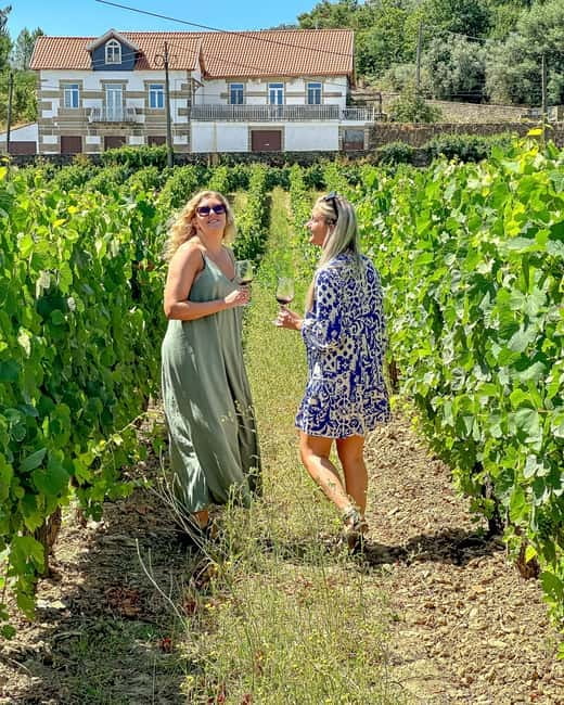 From Porto: Douro Valley Private Tour w/ 3 Wineries & Lunch - Starting from Porto: Comfort and Convenience