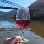 From Porto: Douro Valley Wine Tasting Tour With Hotel Pickup - Pickup from Porto and Comfortable Transportation