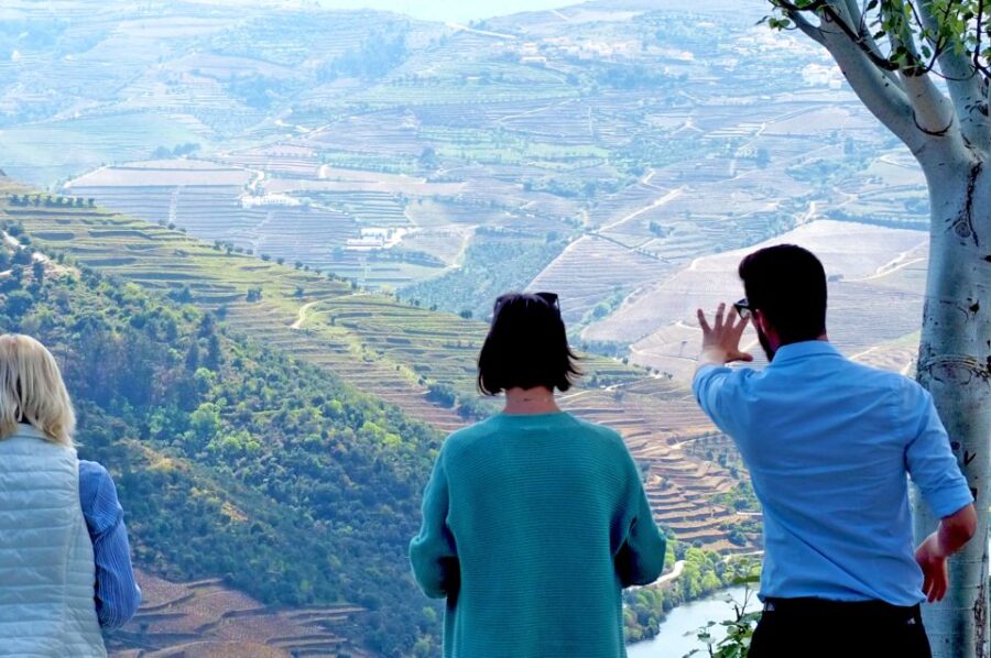 From Porto: Douro Valley Wine Tour with River Cruise & Lunch - Scenic Views and Photo Stops in the Douro Valley