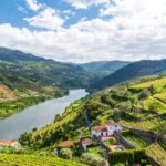 From Porto: Full-Day Douro Historical Tour - Starting Point in Porto Near St. Bento Station