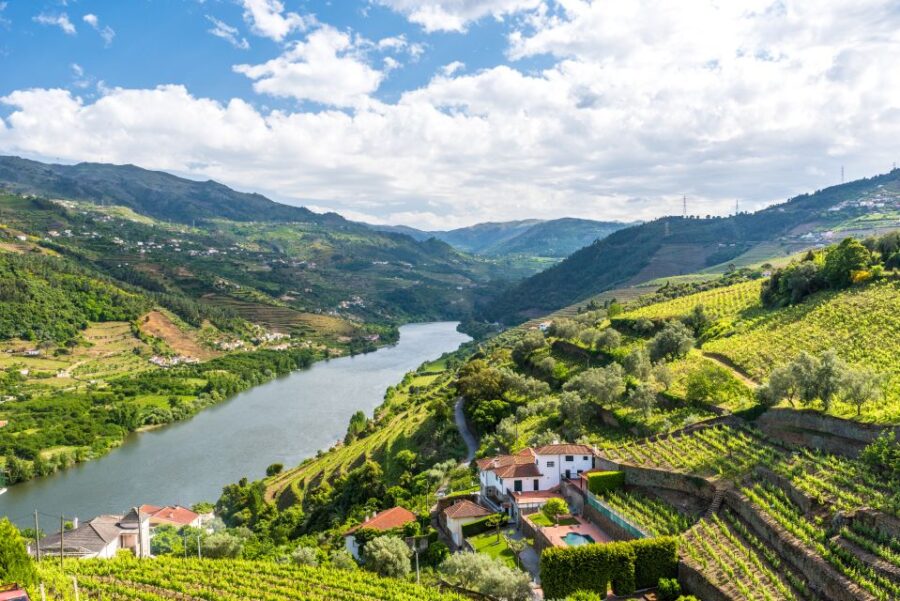 From Porto: Full-Day Douro Historical Tour - Starting Point in Porto Near St. Bento Station