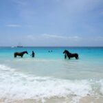 From Porto: Full Day Private Beach Ride + Brunch + Pick-Up - Beautiful Beaches and Coastal Riding Near Porto