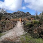 From Porto: Hike & Swim in Gerês National Park - Discovering Gerês National Park’s Scenic Landscape