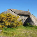 From Porto: Nature and Wine tasting Full-Day Tour - Highlights of the Tour: Casa do Penedo, Mills, and Vineyards