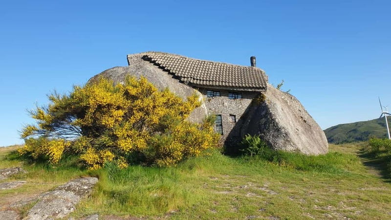 From Porto: Nature and Wine tasting Full-Day Tour - Highlights of the Tour: Casa do Penedo, Mills, and Vineyards