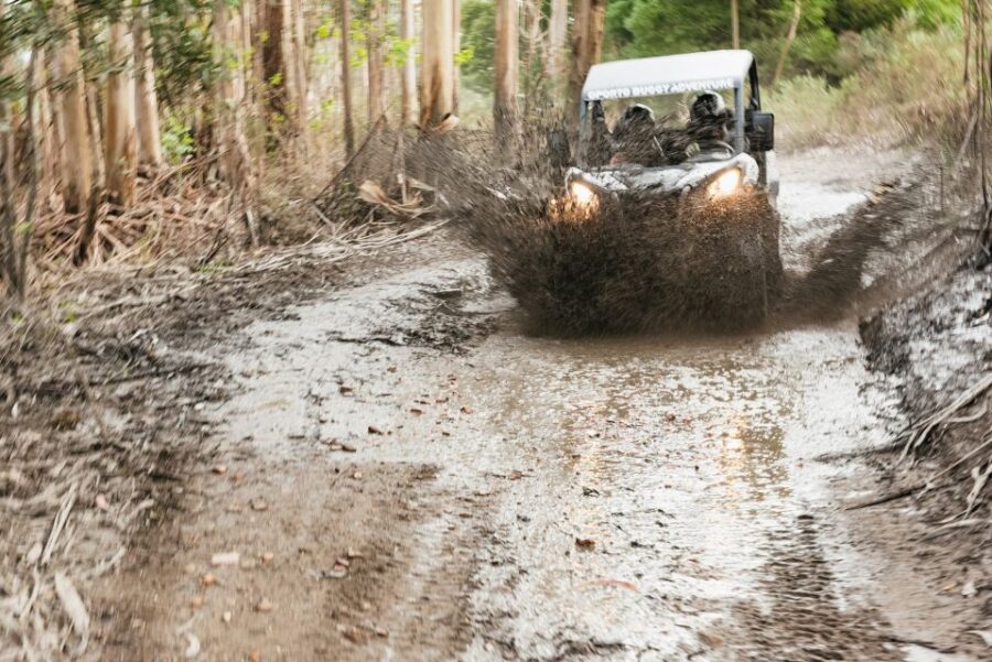 From Porto: Off-Road Buggy Adventure - Starting Point and Meeting Details in Porto