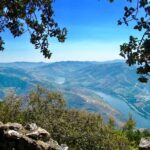 From Porto: Private Douro Valley Tour - Coffee Break in the Historic Town of Amarante