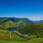 From Porto: Private Douro Valley Tour, Tasting, Boat, Lunch - Visiting a Traditional Port Wine Winery in the Douro Valley