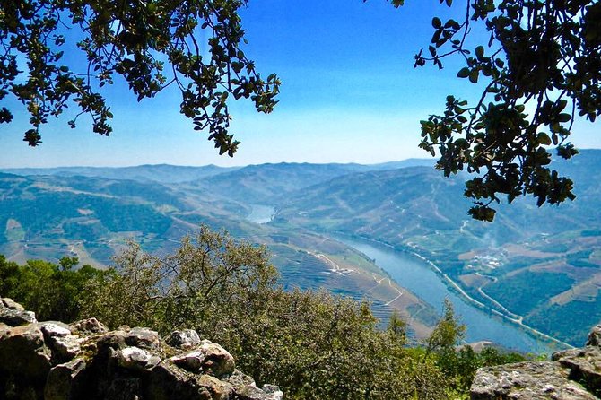 From Porto: Private Douro Valley Tour - Coffee Break in the Historic Town of Amarante