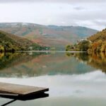 From Porto to Pinhão, Walk & Wine Tour - Tasting Local Wines at Douro’s Traditional Wineries