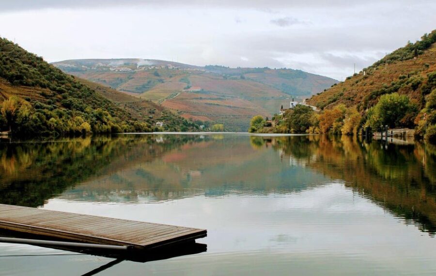 From Porto to Pinhão, Walk & Wine Tour - Tasting Local Wines at Douro’s Traditional Wineries