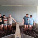 From Porto: Wine and Culture Journey to Lisbon - Starting Point and Transport Logistics in Porto