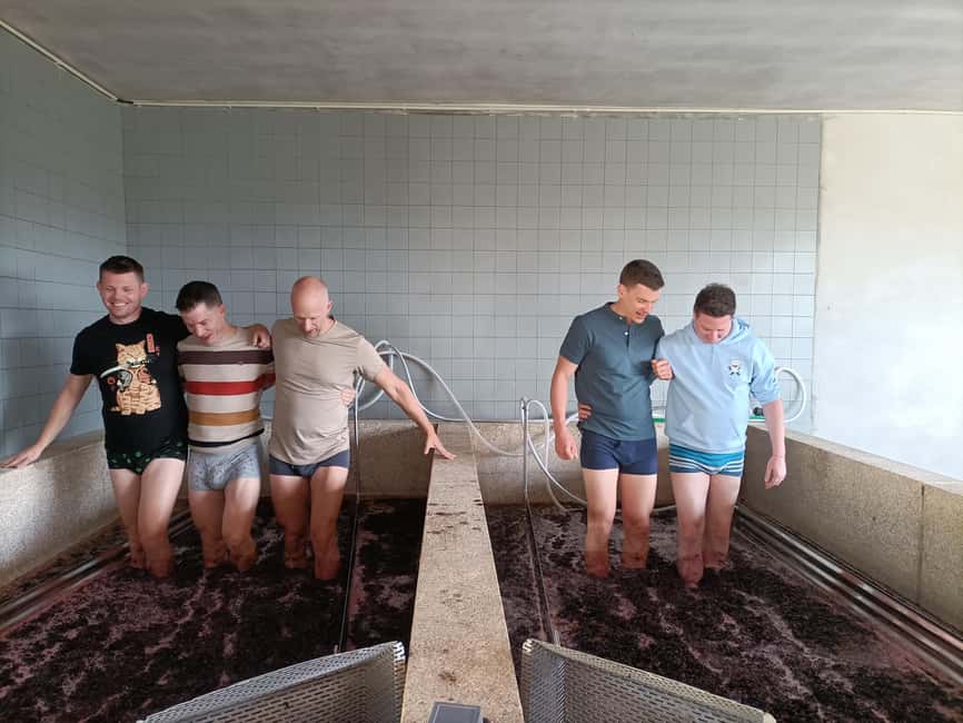 From Porto: Wine and Culture Journey to Lisbon - Starting Point and Transport Logistics in Porto