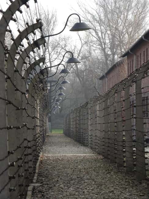 From Prague: Auschwitz-Birkenau Memorial Private Tour - Convenient Pickup and Return From Prague