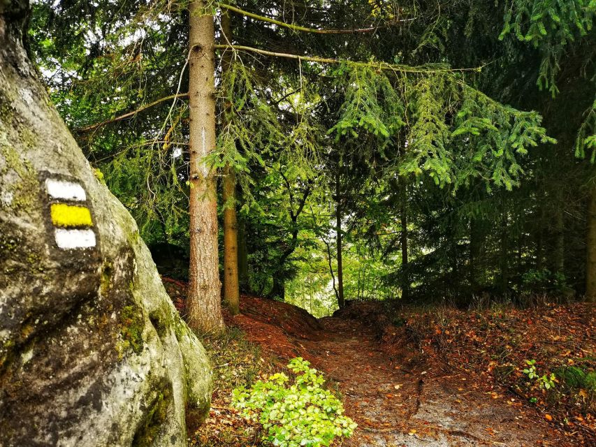 From Prague: Bohemian Paradise - Full-Day Hiking Trip - Discovering Zbirohy Castle Ruins and Their Historic Significance