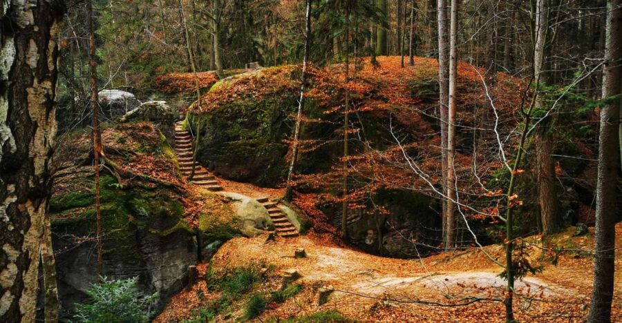 From Prague: Full-Day Bohemian Paradise Guided Hiking Trip - Discovering the Charm of Hrubá Skála Château