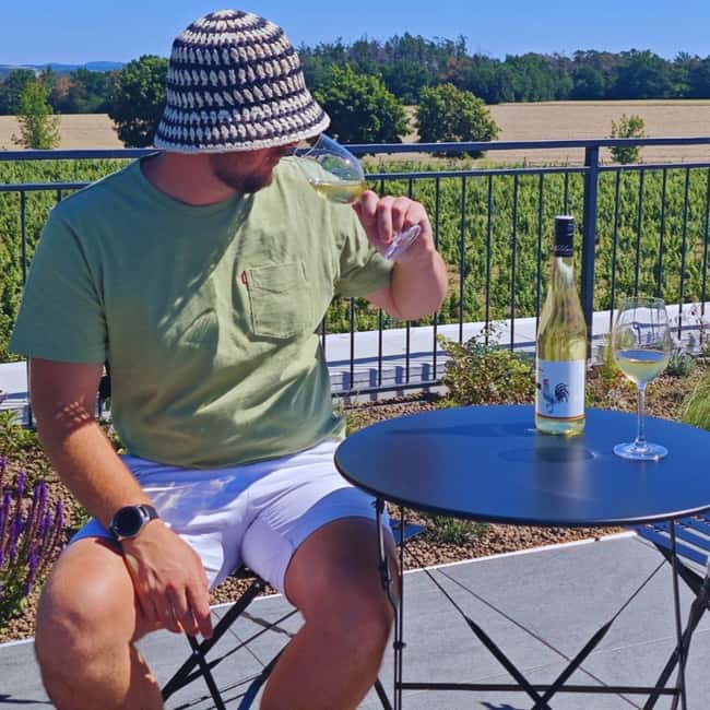 From Prague: Gastronomy Trip  Wine, Beer, Food & Castles - From Prague to Mlník: The Starting Point of the Journey