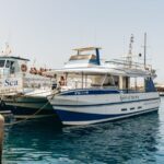 From Puerto Rico de Gran Canaria: Dolphin Watching Cruise - The Vessel: Spirit of the Sea with Glass Bottom Views