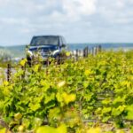 From Reims: Champagne and Family-Run Wineries Tour - Visiting Two Family-Run Champagne Wineries