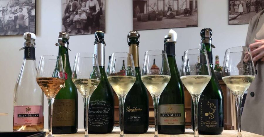 From Reims/Epernay: Private Gold Champagne Tasting Tour - Visiting 2 Independent Family Growers for Authentic Champagne Tasting