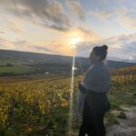 From Reims: Morning Champagne Tour and Tastings - The Six Champagne Tastings: A Varied Sampling