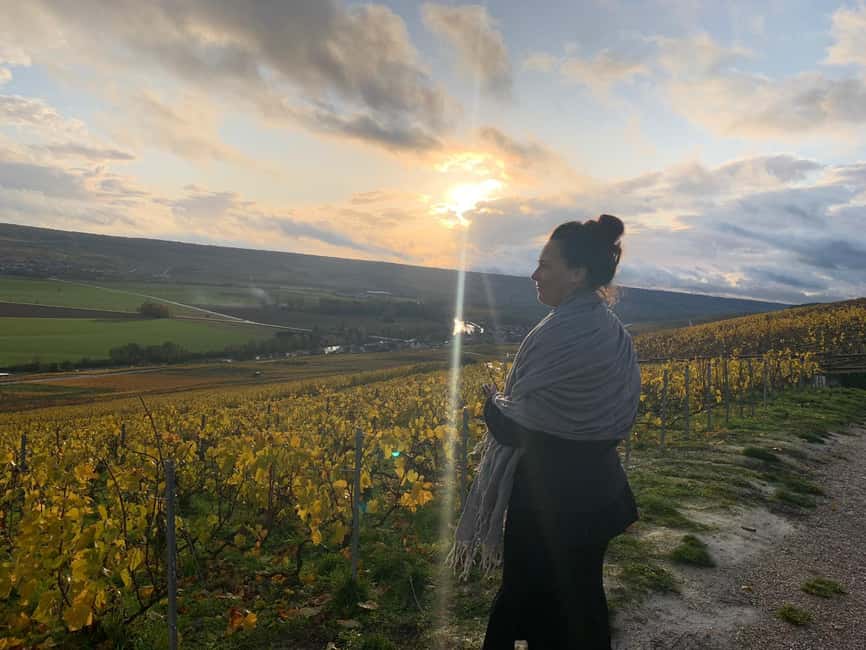 From Reims: Morning Champagne Tour and Tastings - The Six Champagne Tastings: A Varied Sampling