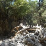 From Rethymno/Chania: Imbros Gorge Hike - Logistics: Getting to and from Imbros Gorge