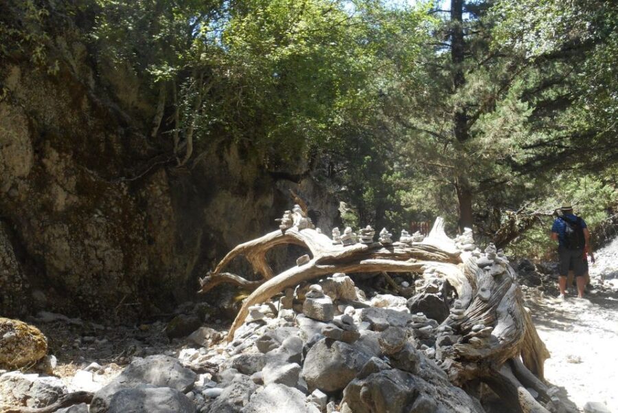 From Rethymno/Chania: Imbros Gorge Hike - Logistics: Getting to and from Imbros Gorge