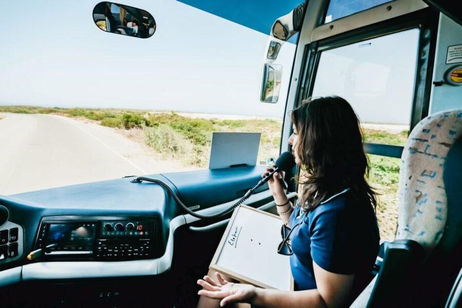 From Rethymno/Kavros: Elafonissi Pink Sand Beach Tour - Exploring Elafonissi’s Pink Sand and Crystal Waters