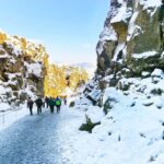 From Reykjavik: Golden Circle and Northern Lights Tour - The Comfort of a Fully Guided Day