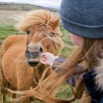 From Reykjavík: Iceland Express Circle - 6-Day Self-Drive - Exploring Vatnajökull National Park and the East Fjords