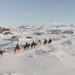 From Reykjavík: Icelandic Horse Riding Tour in Lava Fields - The Unique Icelandic Horses