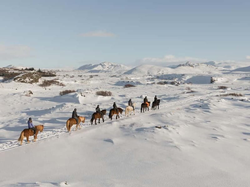 From Reykjavík: Icelandic Horse Riding Tour in Lava Fields - The Unique Icelandic Horses