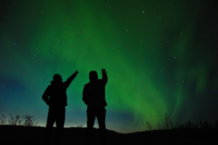 From Reykjavík: Northern Lights Tour with Hot Cocoa & Photos - Seeking Aurora in the Icelandic Night Sky