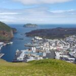From Reykjavik: Vestmannaeyjar Private Tour - Practical Details: Logistics, Inclusions, and Considerations