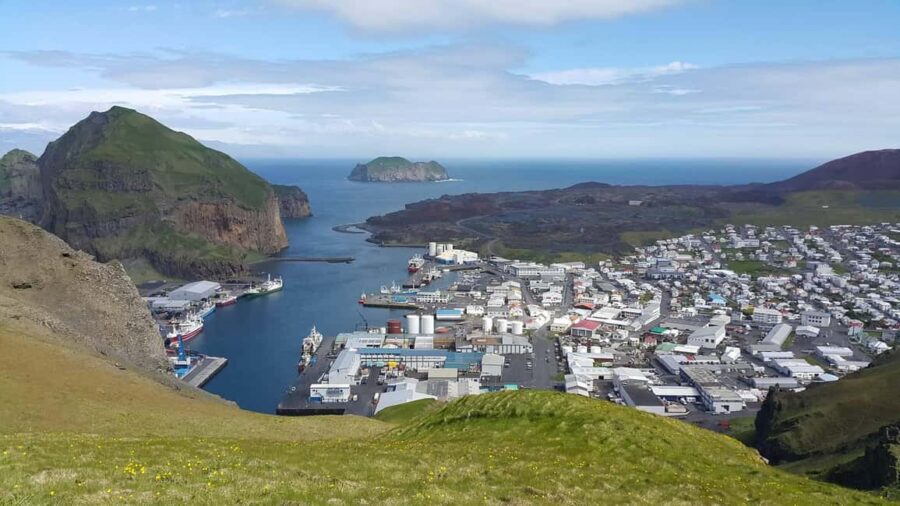 From Reykjavik: Vestmannaeyjar Private Tour - Practical Details: Logistics, Inclusions, and Considerations