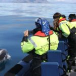 From Reykjavik: Whale Watching Tour by Speedboat - The Speedboat Experience: Comfort and Excitement