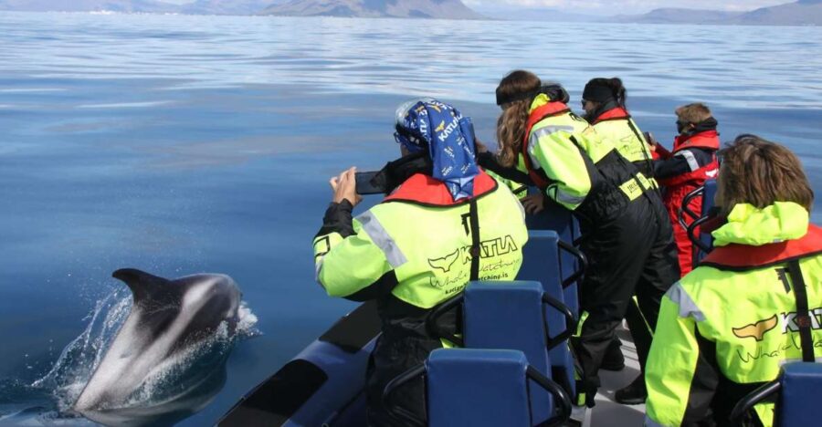 From Reykjavik: Whale Watching Tour by Speedboat - The Speedboat Experience: Comfort and Excitement