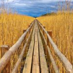 From Riga: Best of Kemeri National Park In One Day - Exploring Kemeri National Parks Unique Landscapes