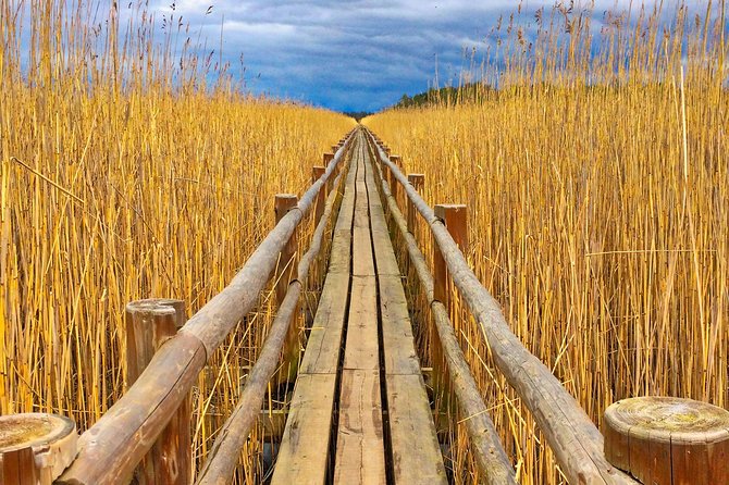 From Riga: Best of Kemeri National Park In One Day - Exploring Kemeri National Parks Unique Landscapes